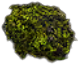 Wild Yeast